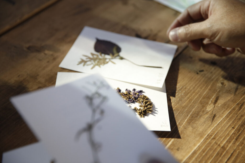 Exchange for basil or thyme